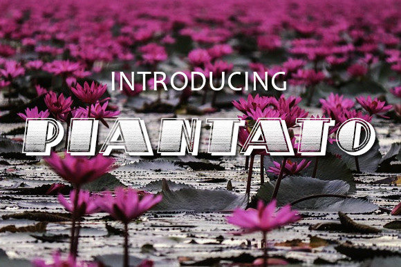 Piantato: The Bold Display Font That Elevates Campaigns
